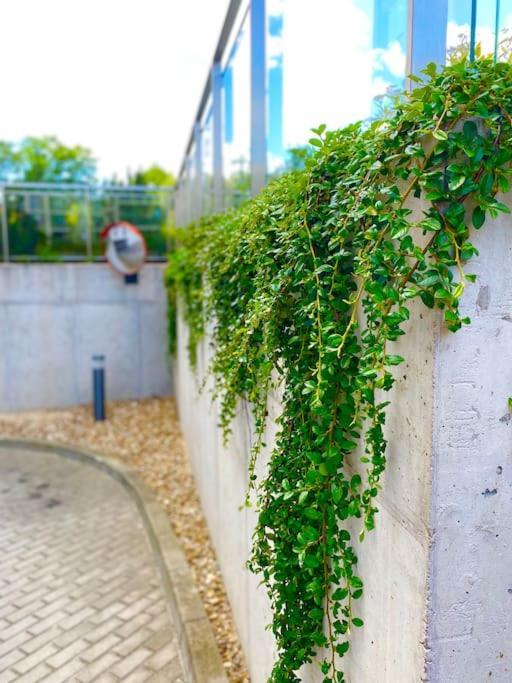 Ferienwohnung Smart Art :) Z Bezplatnym Parkingiem Podziemnym Kielce Exterior foto
