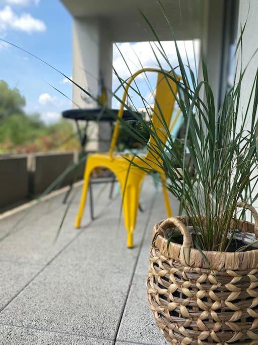 Ferienwohnung Smart Art :) Z Bezplatnym Parkingiem Podziemnym Kielce Exterior foto