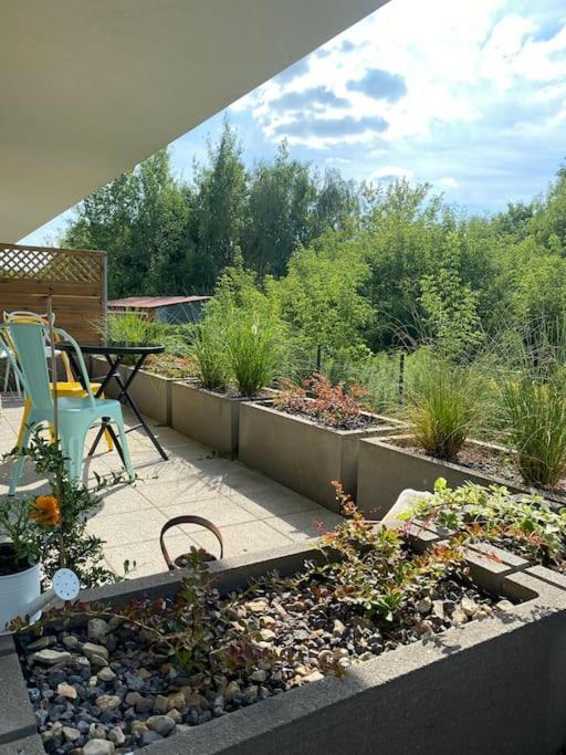 Ferienwohnung Smart Art :) Z Bezplatnym Parkingiem Podziemnym Kielce Exterior foto
